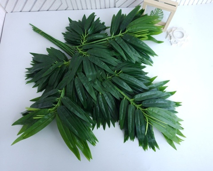 Бамбук крупный лист / Арт 1025