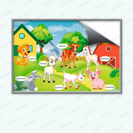 Комплект развивающий ПРИРОДА. ДОМАШНИЕ ДЕТЁНЫШИ. 2172