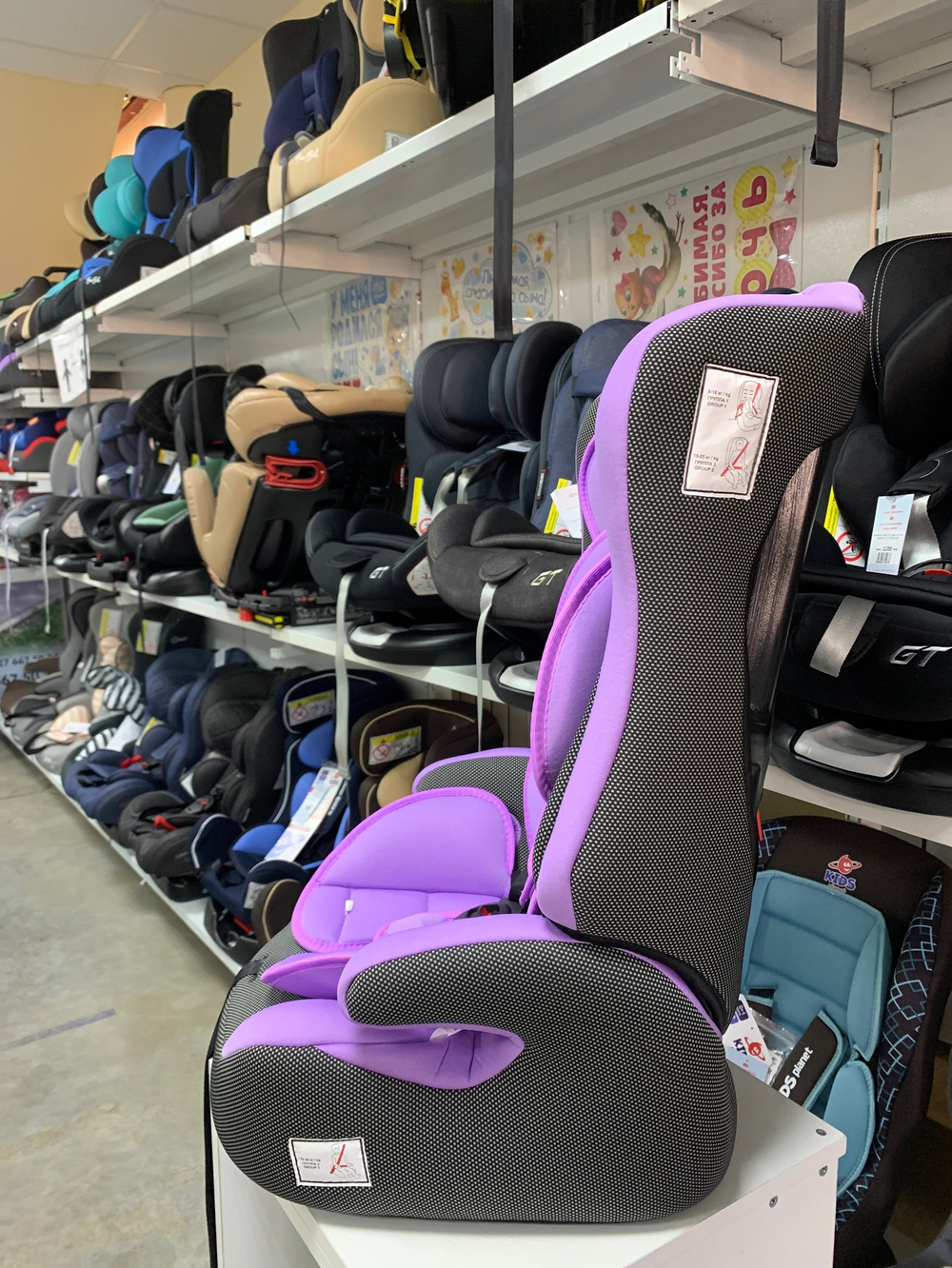 Автокресло 513 RF (Teddy Bear) ПК (38. LILAC+BLACK DOT)