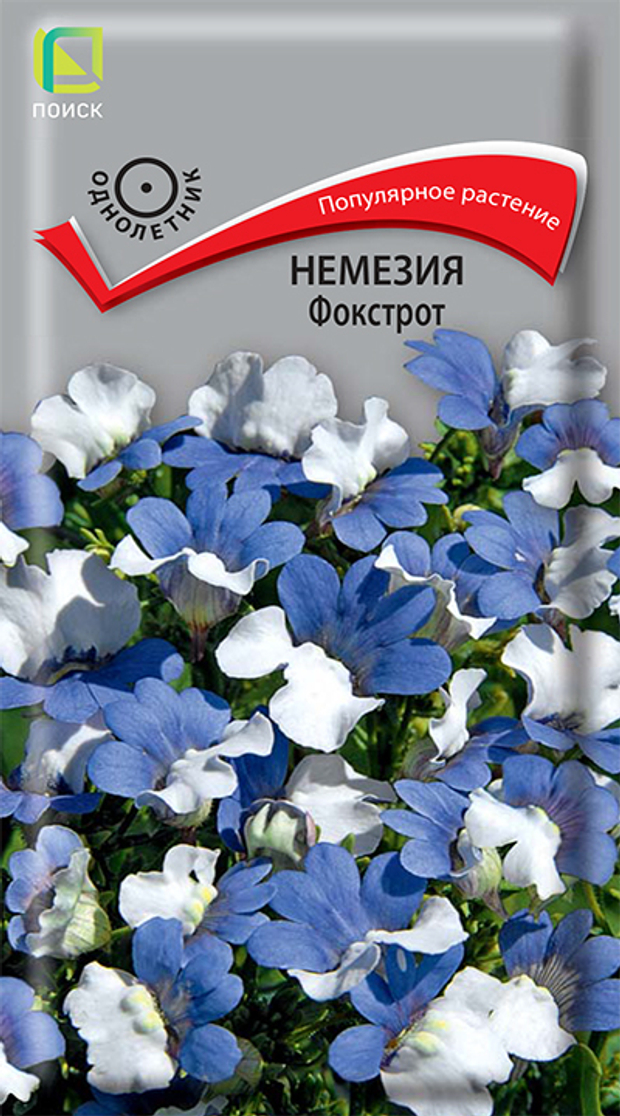 Немезия Фокстрот
