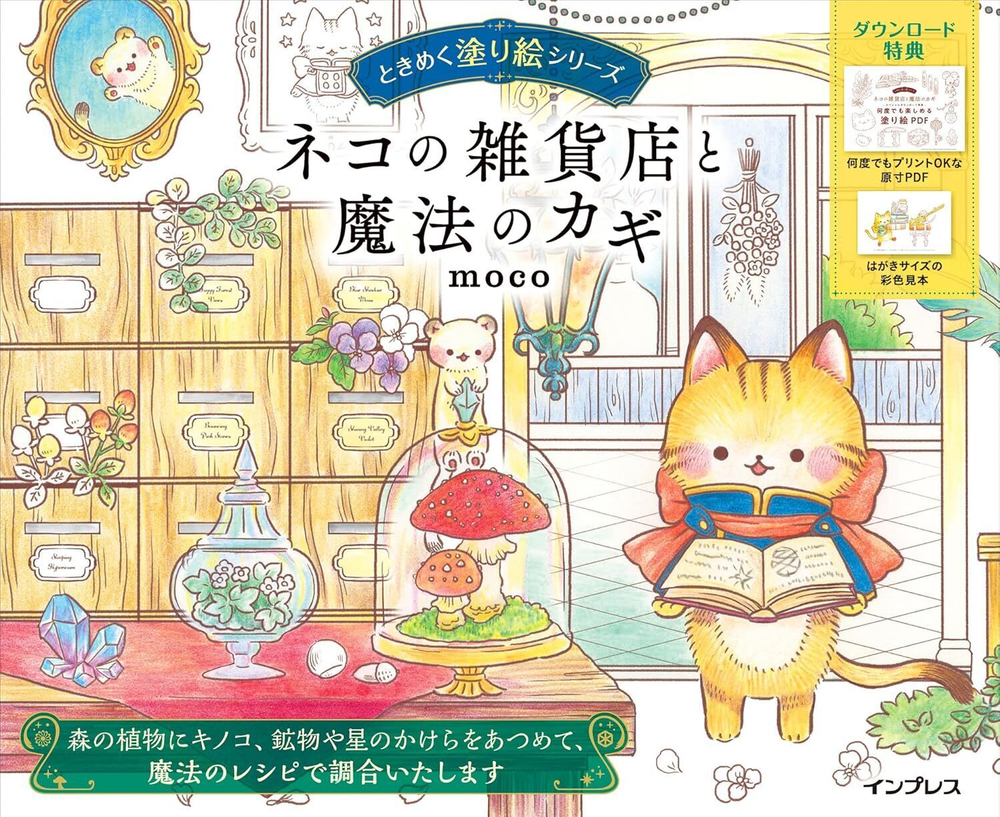 [Vol.3] The Cat General Store and the Magic Key