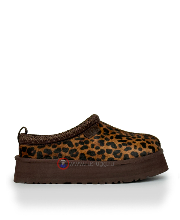 TAZZ Caspian Burnt Cedar