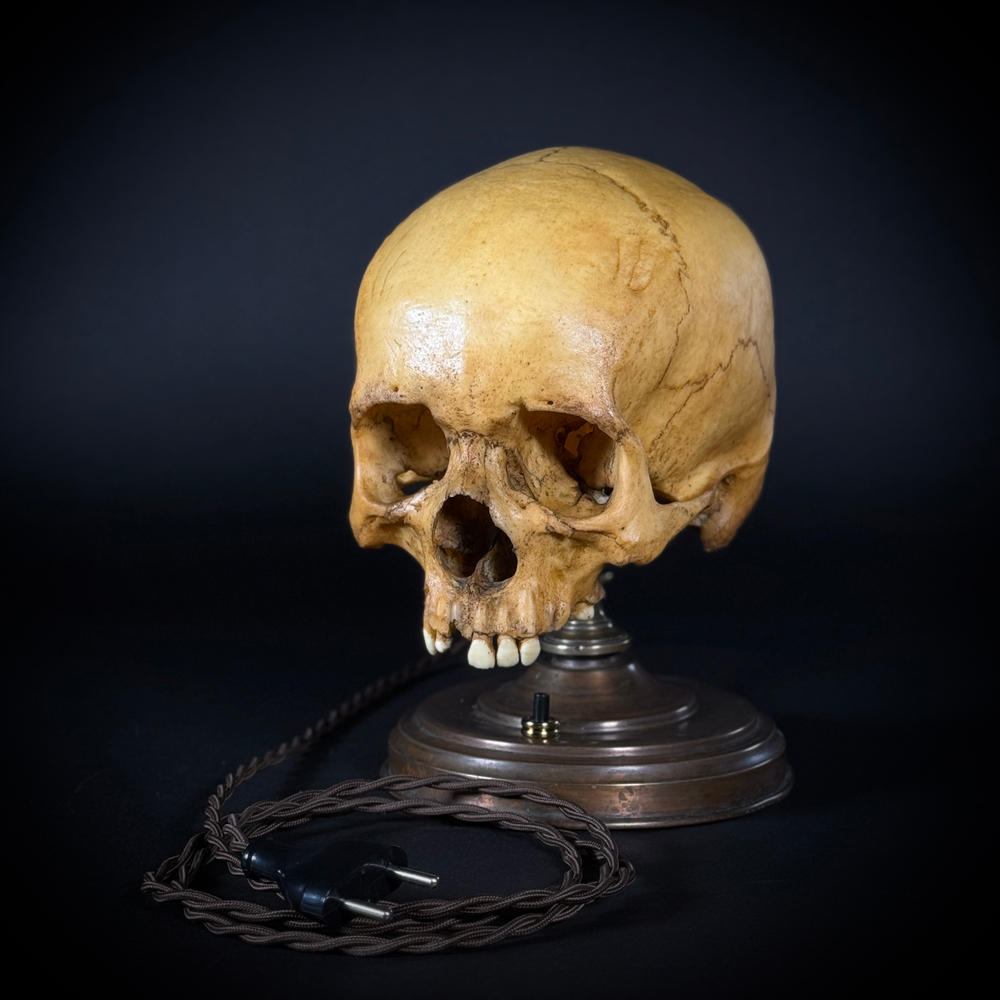 Ночник «Чендлер»