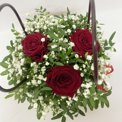 Розы с гипсофилой