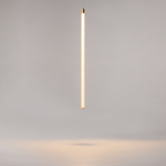 Подвесной светильник Maytoni P022PL-L20G3K