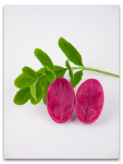 Мята. Сорт 2