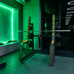 A3050 Стойка для приседаний с ограничителями