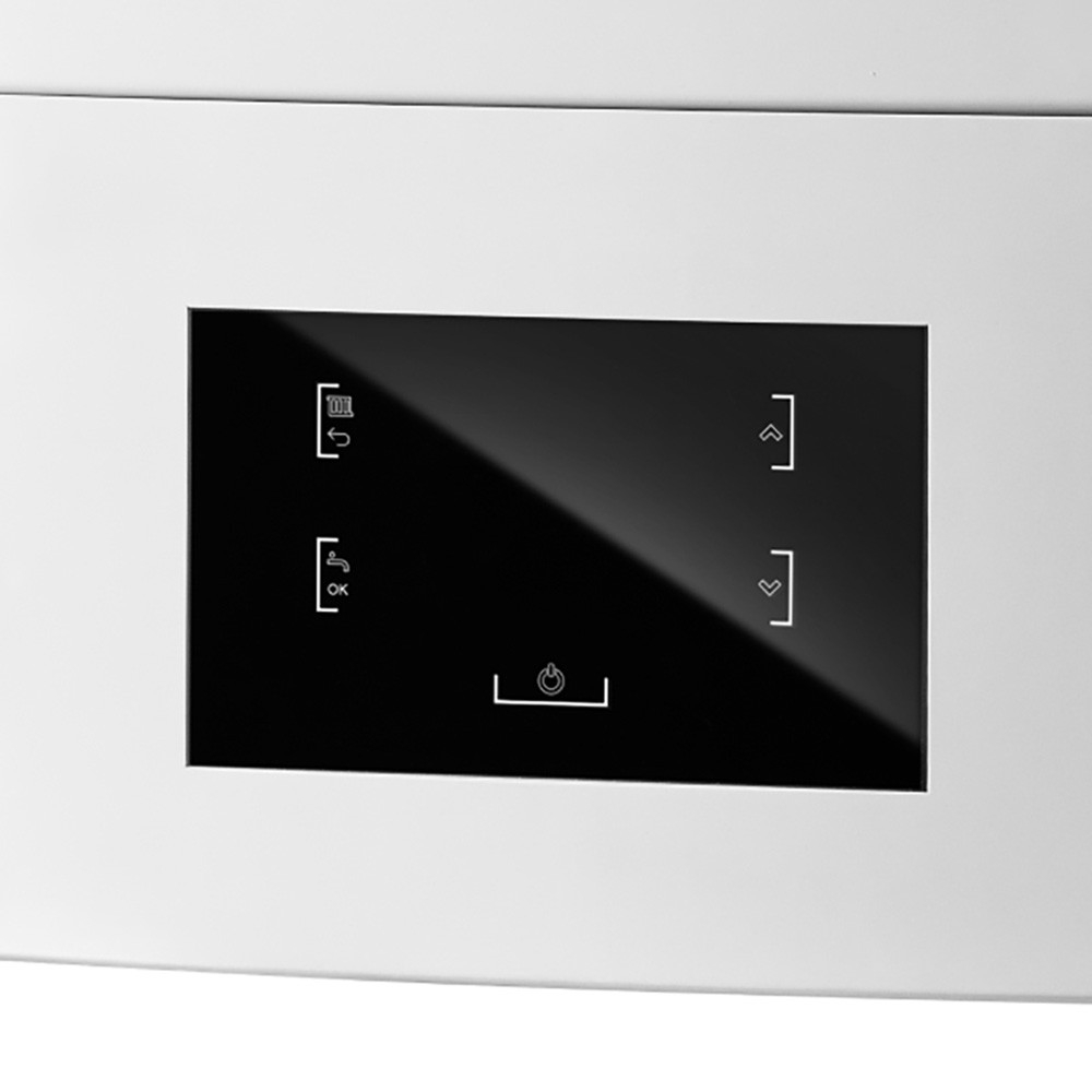 Котел LaggarTT газовый настенный ГАЗ 6000 24H RN