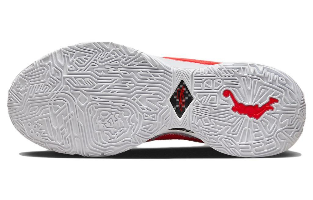 Кроссовки Mimi Plange X Nike Lebron 20 Ep