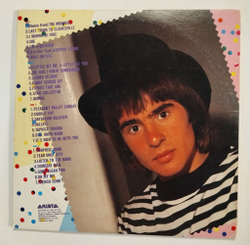 Винтажная виниловая пластинка LP The Monkees Golden Story 2LP (Japan 1980)