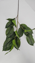 Магнолия / Арт 3061