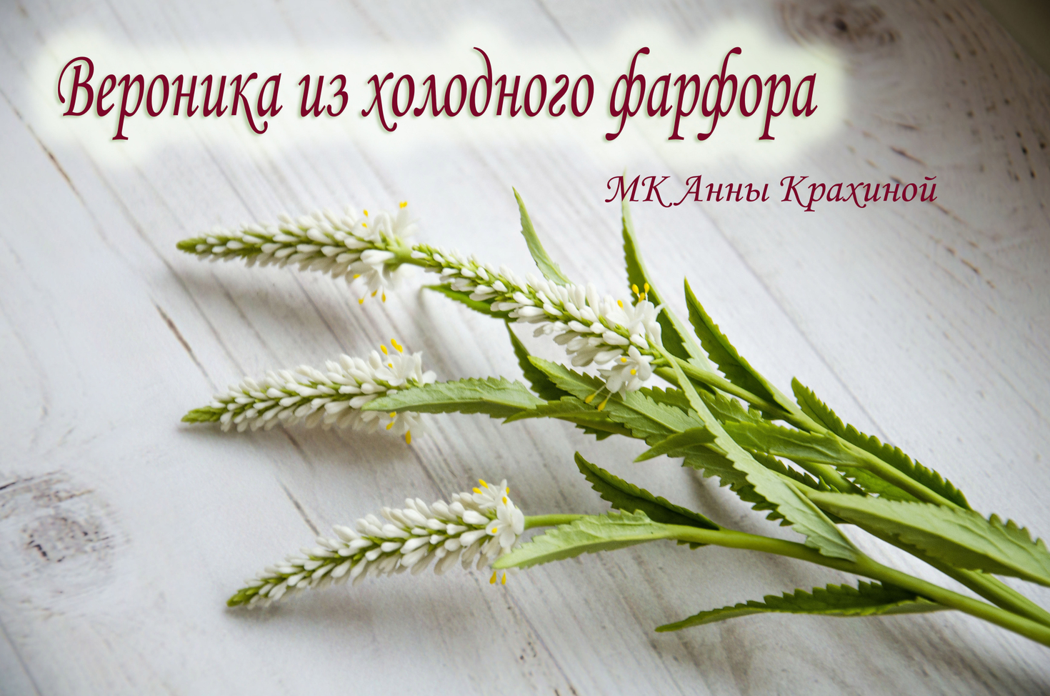 Вероника из холодного фарфора. МК Анны Крахиной.