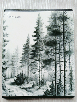 Тетрадь 96 листов А5+. "Просторы Родины", общая, в клетку. Формат А5+ (163*203 мм). Арт.120028. С полями. Комплект 5 шт.