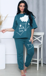 [m]Комплект штаны+футболка д/р(норма) М572