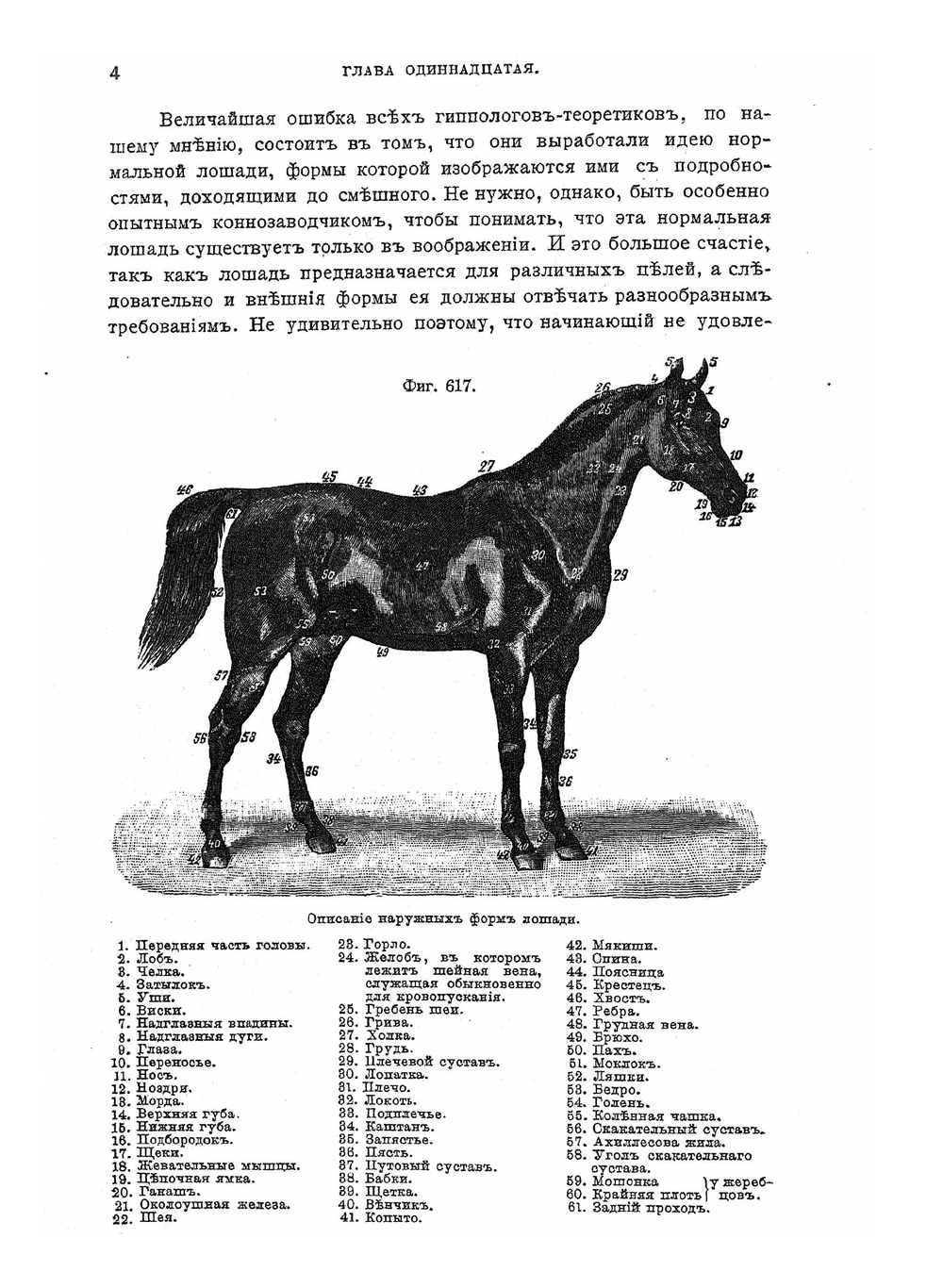 Книга о лошади. Том 2. Настольная книга для каждого владельца и любителя лошади. Графа К. Г. Врангеля | К. Врангель