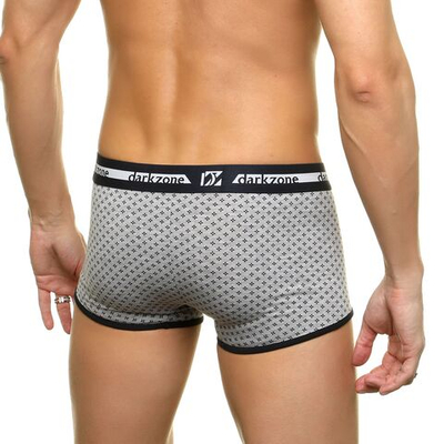 Серые трусы-боксеры с принтом (Размер: L) (Цвет: серый)