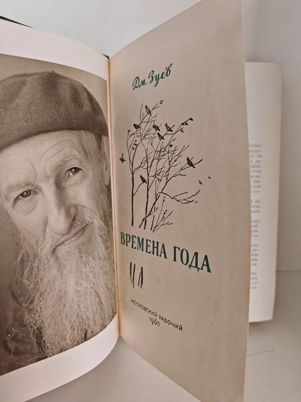 Времена года