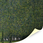 Картина для интерьера Парк, художник Климт, Густав, печать на холсте Настене.рф