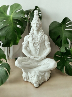 Бог Шива на тигре