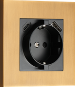Розетка Schuko с зарядным устройством USB A+C,  с защитными шторками,  латунь,  серия N96