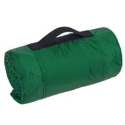 Плед для пикника Comfy, зеленый