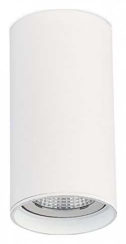 Накладной светильник ST-Luce ST157 ST157.542.15