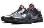 Кроссовки Nike Zoom Kobe 5