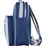 ARBOR. Рюкзак-холодильник для пикников Синий