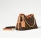 Сумка Louis Vuitton Carry All MM коричневый