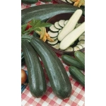 Семена Кабачок Уголек - цуккини (Марс) 2гр Б/П