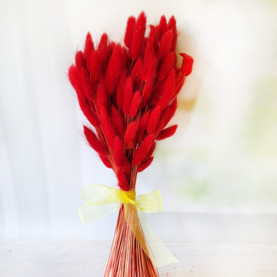 Букет сухоцветов из лагуруса красного