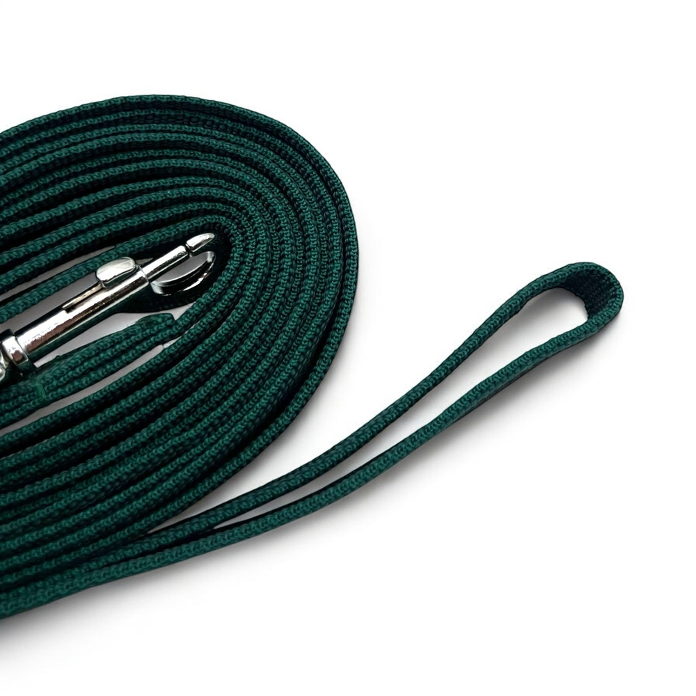 Поводок Лайт, наличие