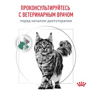 Корм сухой Royal Canin SATIETY WEIGHT MANAGEMENT полнорационный диетический для взрослых кошек, рекомендуемый для снижения веса