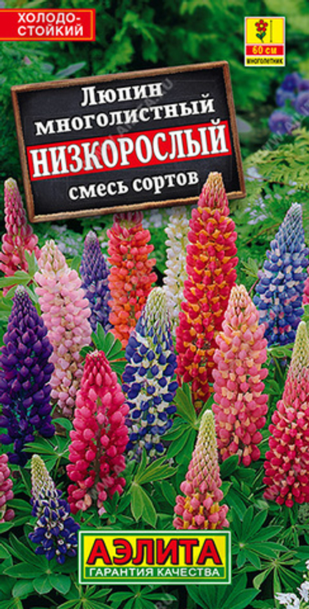 Люпин Низкорослый, смесь сортов 15шт Аэлита