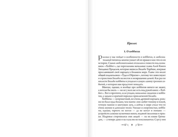 Властелин Колец. Хранители Кольца