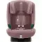 Автокресло Britax Roemer EvolvaFix Dusty Rose