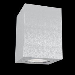 Светильник потолочный Maytoni Alfa C017CL-01S