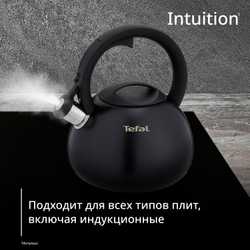 Чайник для плиты Tefal Intuition 2.5 л N4180417
