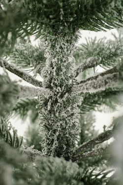 Ель искусственная Царь елка Беверли стройная заснеженная 180 см