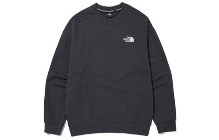Толстовки THE NORTH FACE Campground Sweatshirts, NM5MN01C