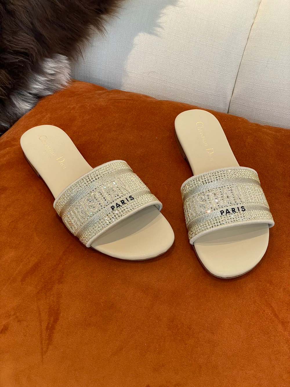Christian Dior Dway Slide
