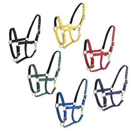 DASLO Недоуздок нейлоновый с подложкой,темно-синий, FULL