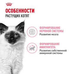 Корм консервированный Royal Canin Kitten Jelly полнорационный для котят до 12 месяцев, кусочки в желе - 85 гр