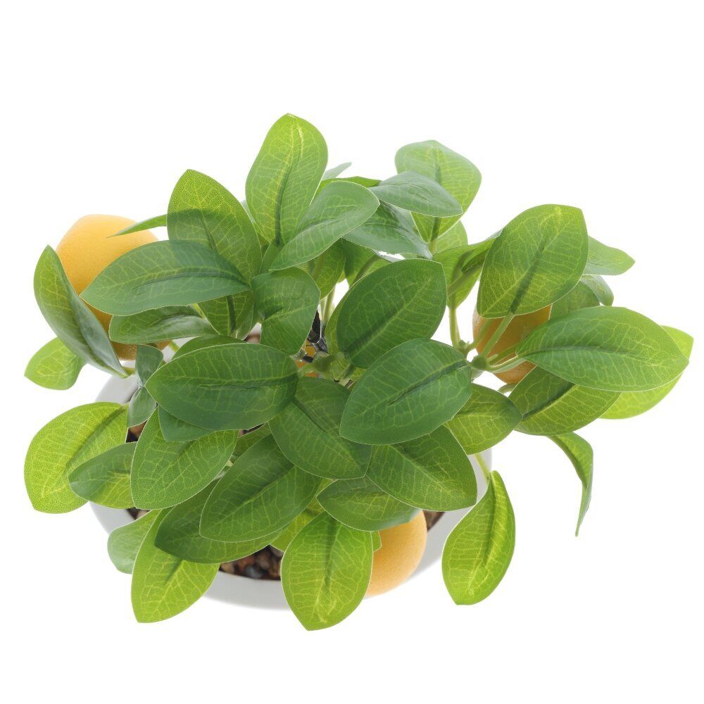 GAEM Дерево искусственное "Лимон", L16 W13 H22 см