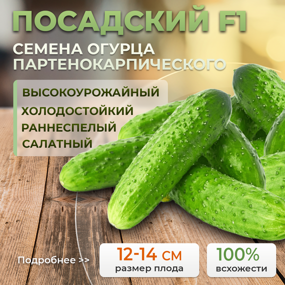 ПОСАДСКИЙ F1 семена огурца (Enza Zaden | Alexagro)