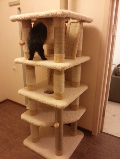 Игровой комплекс для кошки КУН-2 (мейн-кун)