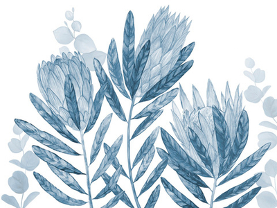 Дизайнерские обои Wall Street Herbarium