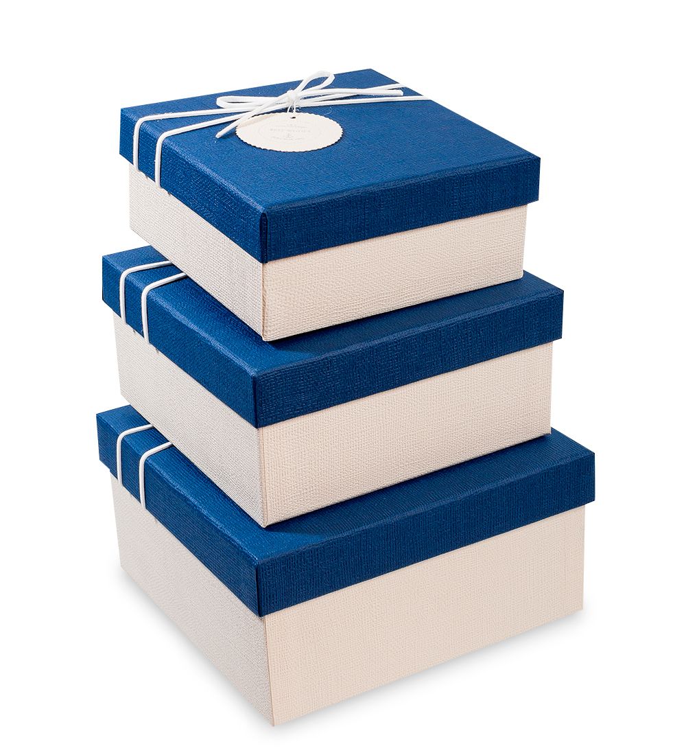 WF-31-A Набор коробок из 3шт «Прямоугольник» цв.бел./син.