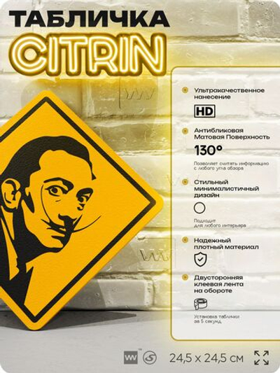 Табличка декоративная "Сальвадор Дали, Salvador Dal " на дверь и стену, прикольная штука в подарок, декоративный знак, 24,5х24,5 см, пластиковая, Айдентика Технолоджи