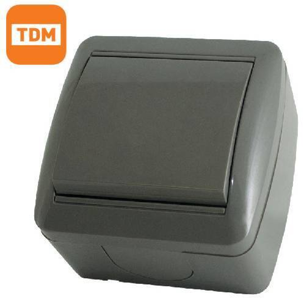 Выключатель 1кл IP44 10A (серый) Селигер TDM SQ1818-0101